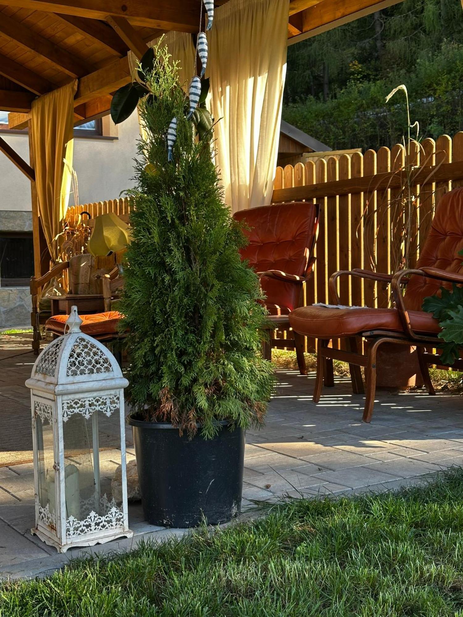 Gosciniec Stara Szkola Hotel Haluszowa Bagian luar foto